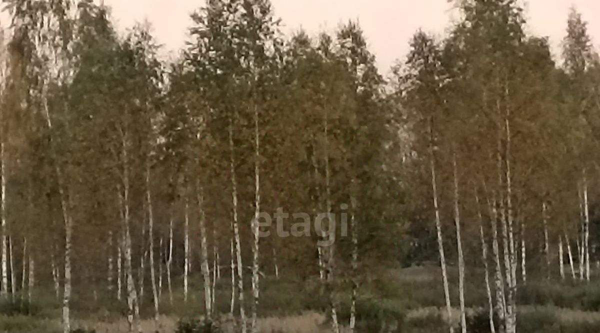 производственные, складские г Смоленск р-н Заднепровский ул Центральная 1 фото 24