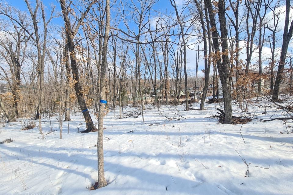 земля г Владивосток р-н Советский Владивостокский городской округ, Зоопарк Садгород фото 9