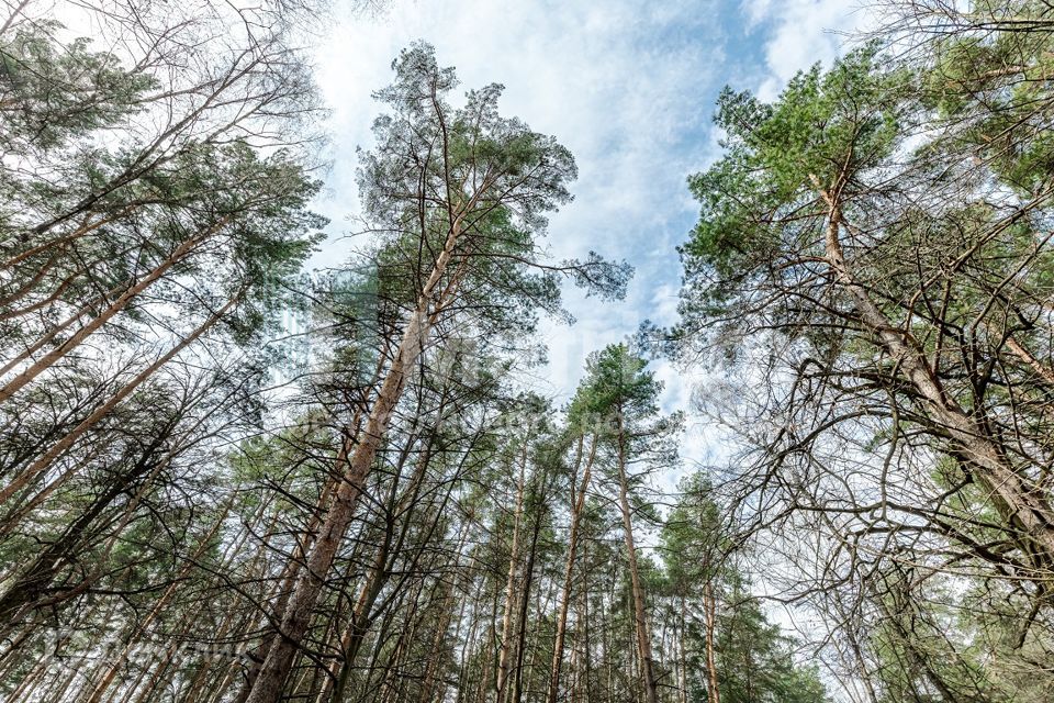 земля городской округ Одинцовский п Барвиха тер Сады Майендорф фото 3