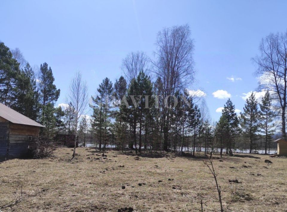 земля р-н Турочакский с Озеро-Куреево ул Аланская фото 2