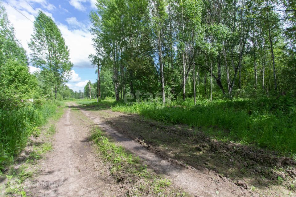 земля г Тобольск Центральная улица, городской округ Тобольск фото 5