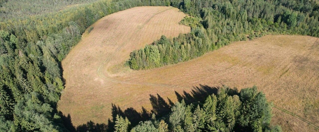 земля р-н Бологовский с Березовский Рядок ул Верхняя фото 9