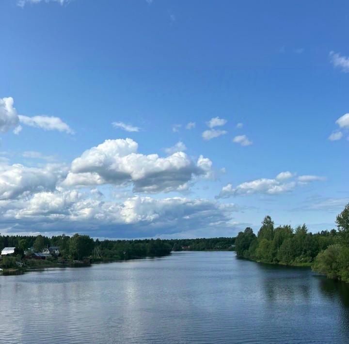 земля р-н Череповецкий п Андогский ул Фабричная 1б Нелазское с пос фото 8