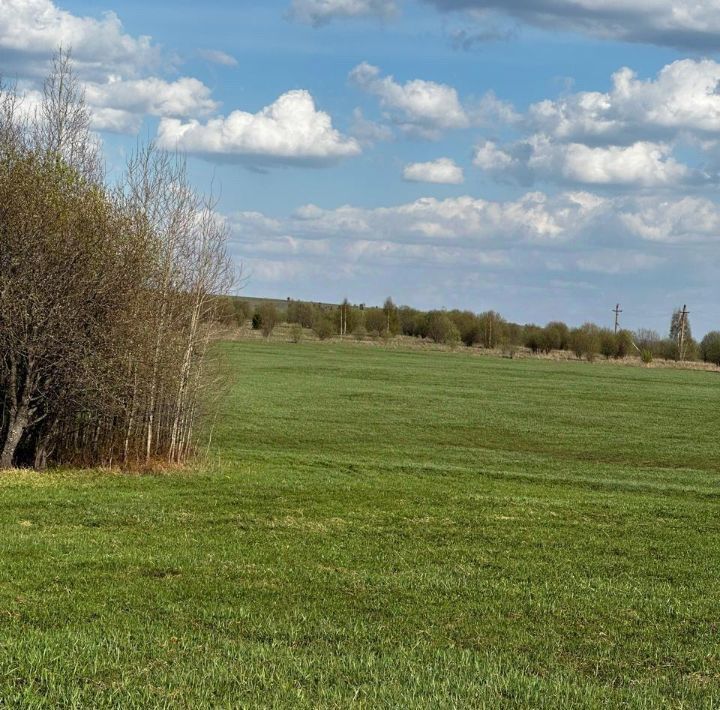 земля р-н Новокузнецкий с Куртуково фото 1