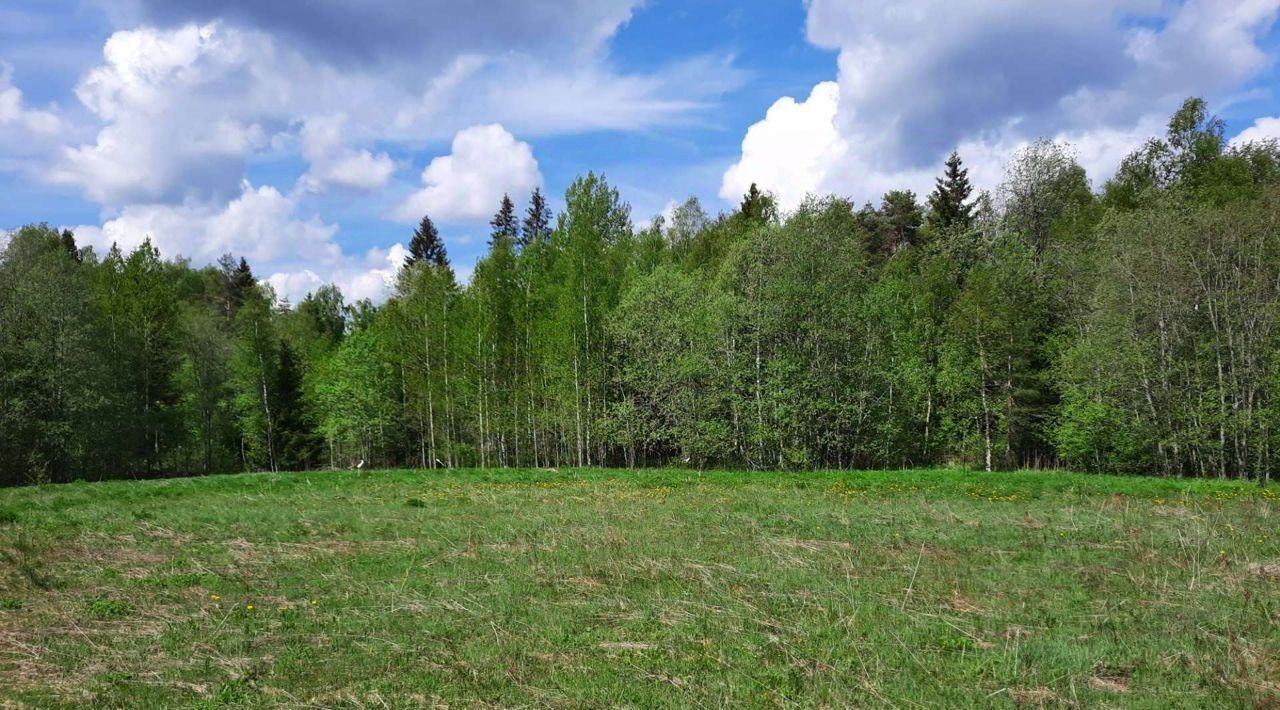 земля р-н Приозерский д Васильево КП Коробицыно Лайф с пос, Красноозерное фото 35