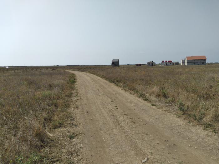 земля г Евпатория пгт Заозерное городской округ Евпатория, бул. Морской, д. 0 фото 1