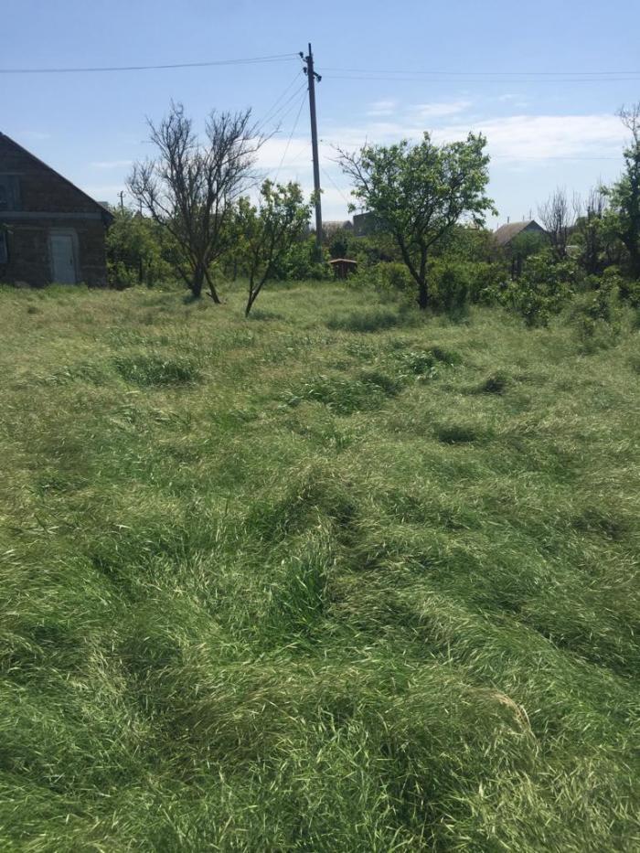 земля г Евпатория пгт Новоозерное городской округ Евпатория, д. фото 2