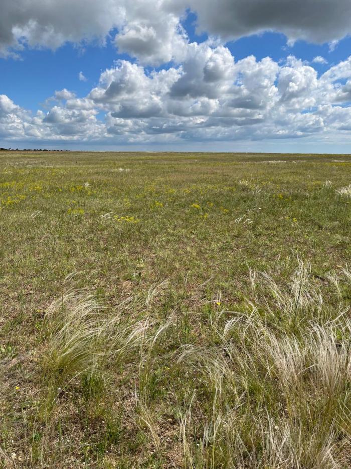 земля г Евпатория пгт Новоозерное ул Курортная городской округ Евпатория, д. И 055 фото 1