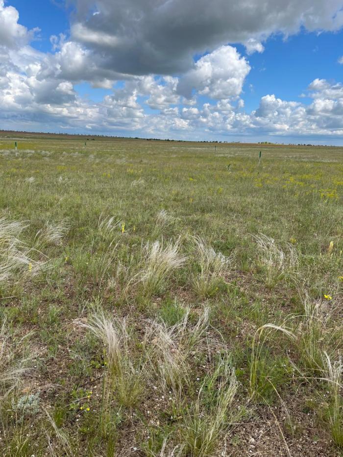 земля г Евпатория пгт Новоозерное ул Курортная городской округ Евпатория, д. И 055 фото 6