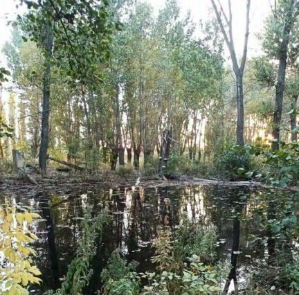 производственные, складские р-н Каменский х Березка Волченское с/пос фото 17