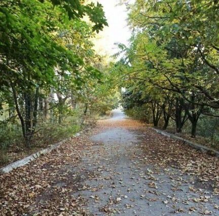 производственные, складские р-н Каменский х Березка Волченское с/пос фото 12