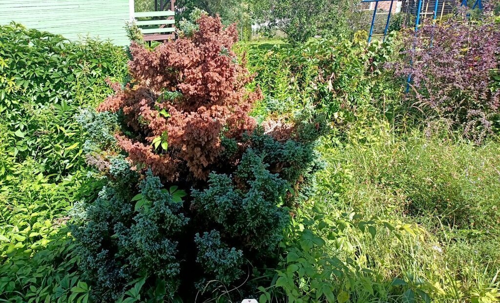 земля городской округ Сергиево-Посадский д Ворохобино фото 3