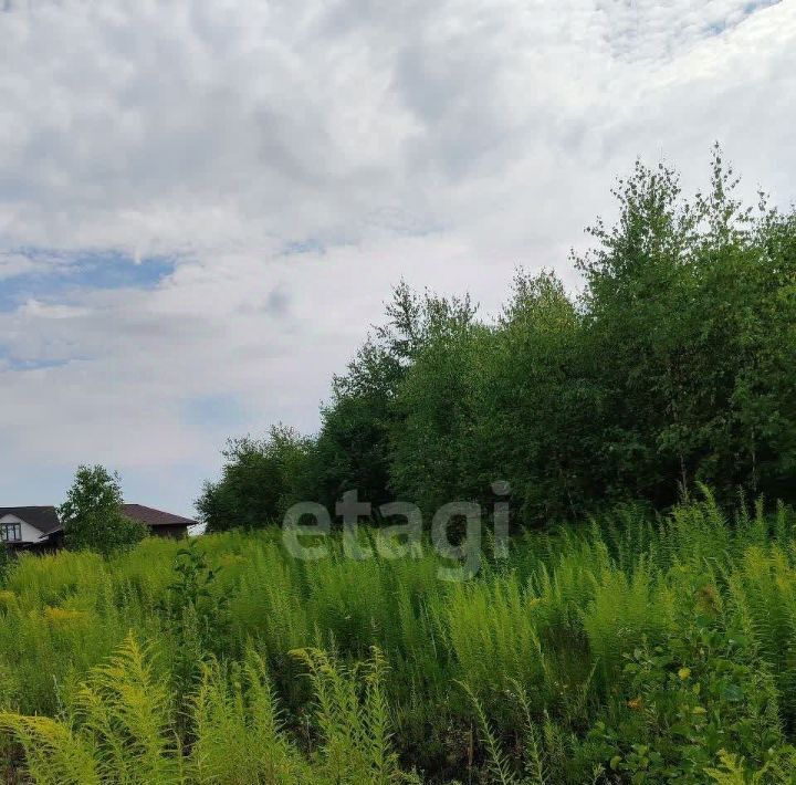 земля р-н Богородский д Гремячки ул Хабаровская фото 1