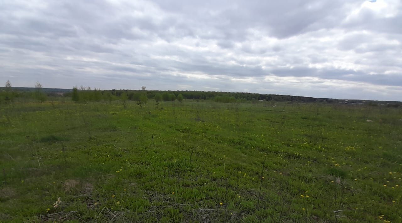 производственные, складские г Подольск с Покров ш Домодедовское Подольск городской округ фото 3