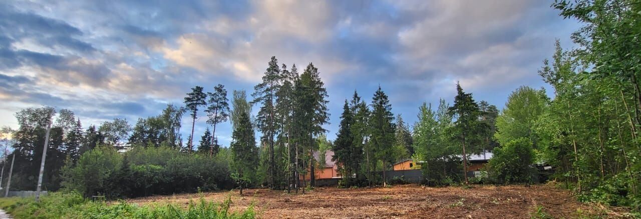 земля городской округ Наро-Фоминский д Новоглаголево фото 4