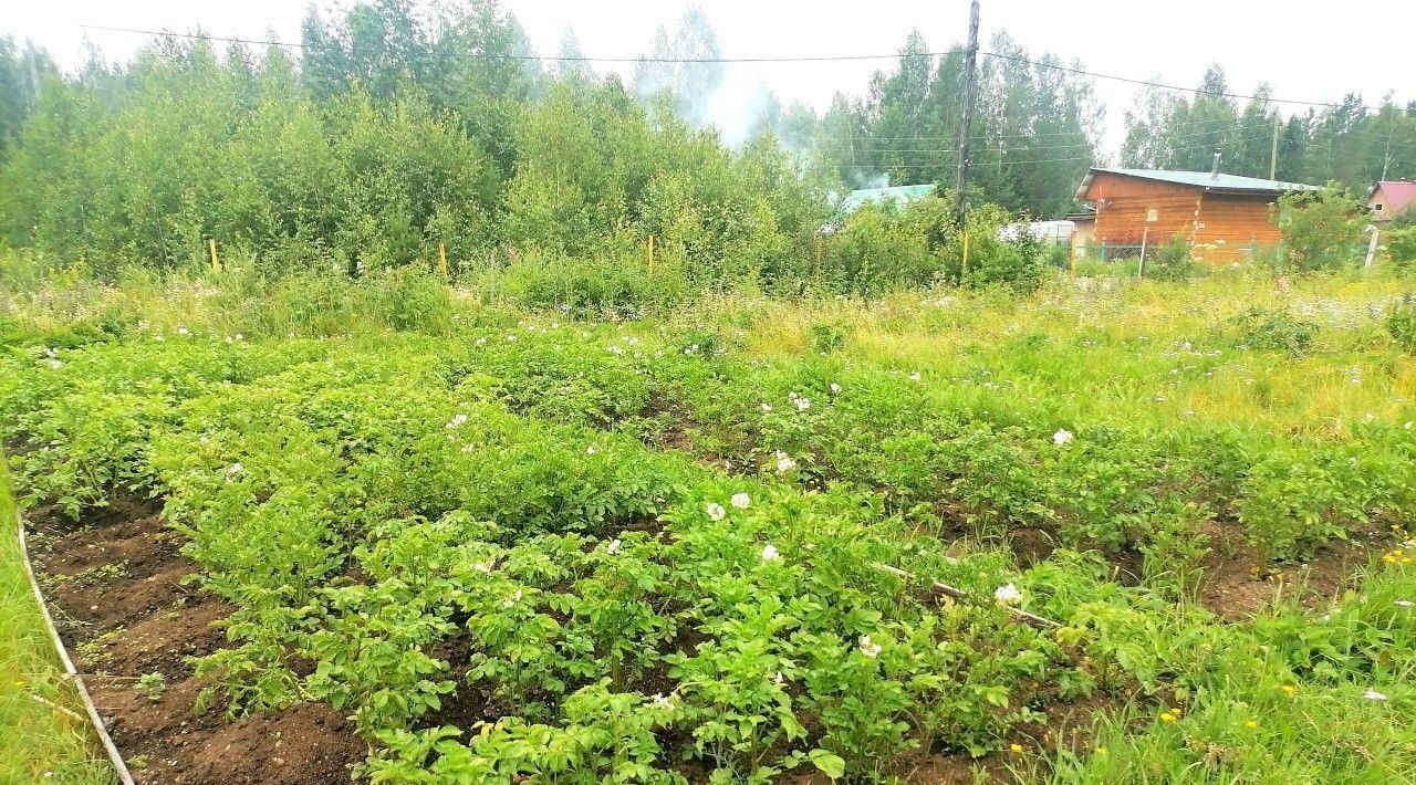 дом р-н Невьянский п Аять снт терКалининец - 18 Невьянский городской округ фото 35