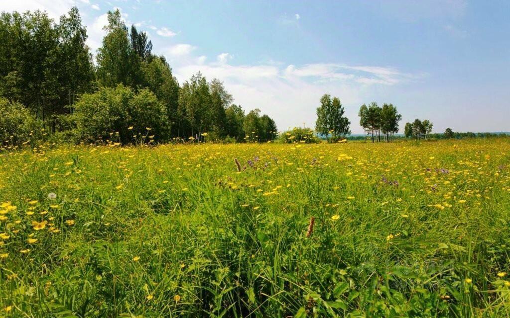 земля городской округ Одинцовский с Иславское Одинцово фото 2