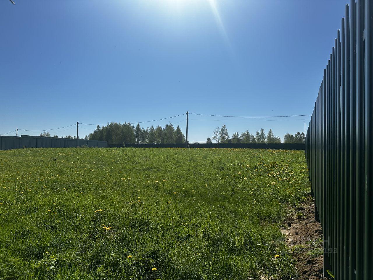 земля городской округ Рузский д Петряиха фото 4