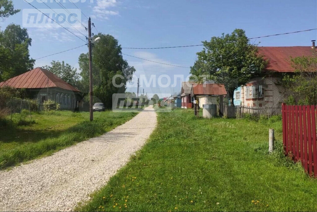 земля г Бор деревня Завражное Ямновский сельсовет фото 3