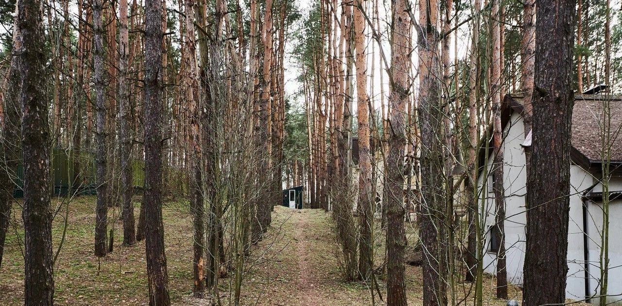 земля городской округ Истра д Лобаново Нахабино, 59 фото 13