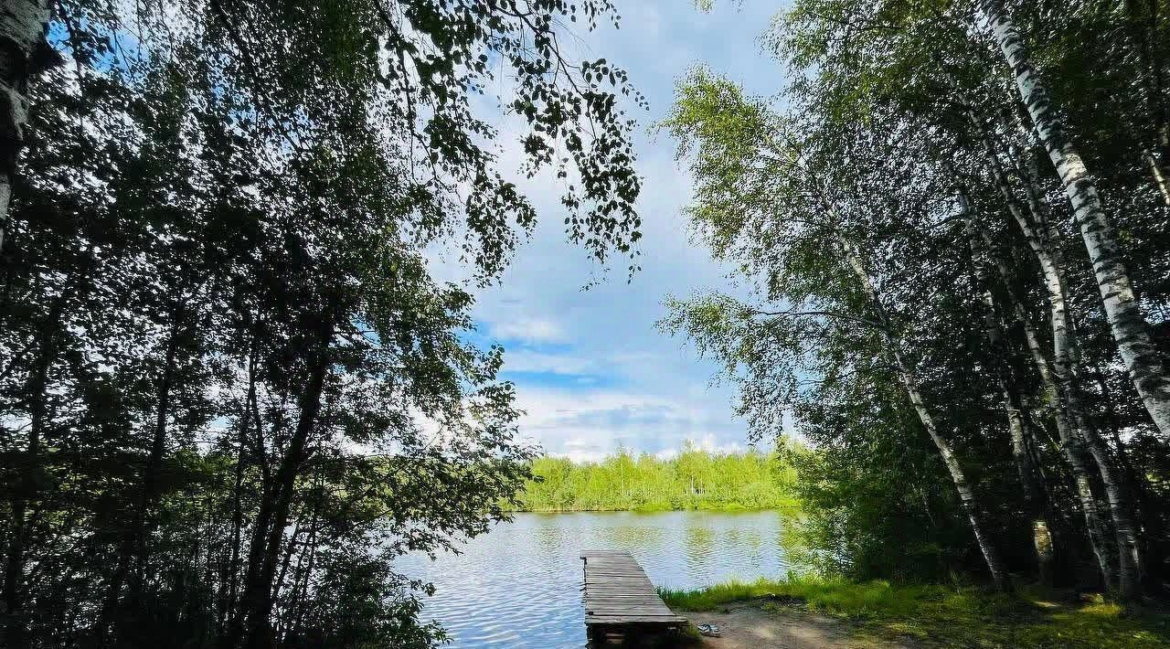 земля городской округ Сергиево-Посадский д Арханово снт Росинка фото 26