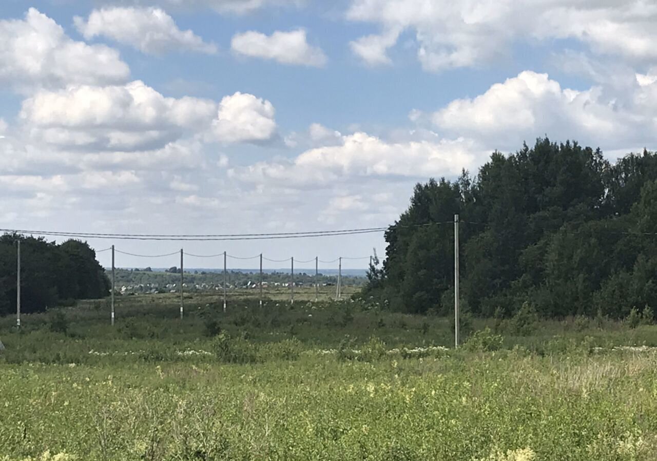 земля городской округ Сергиево-Посадский д Несвитаево Богородское фото 2