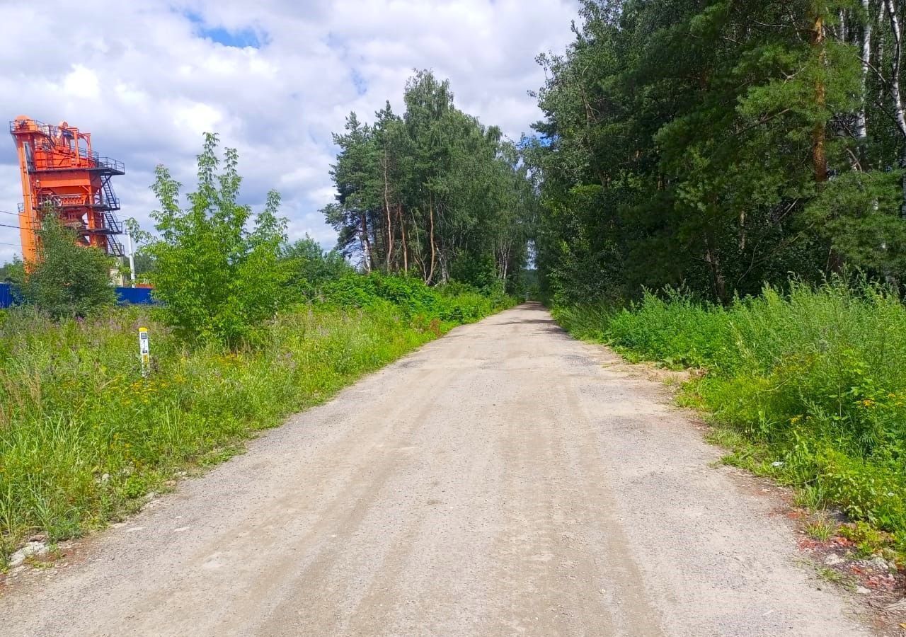 земля городской округ Богородский п Воровского ТСН СНТ Массив Цветочный, Ромашковая ул фото 2