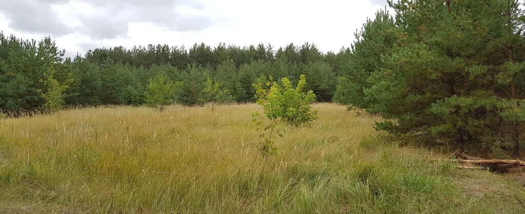 земля р-н Чердаклинский с Крестово Городище Крестовогородищенское сельское поселение фото 4