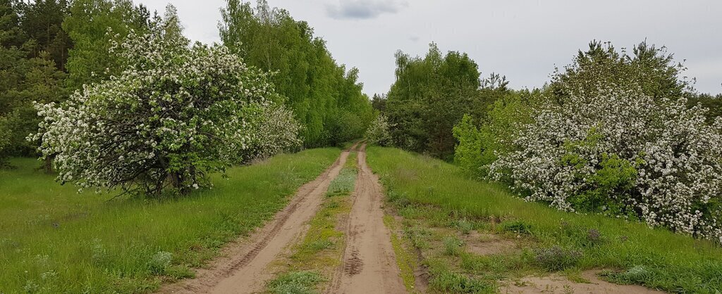 земля р-н Чердаклинский с Крестово Городище Крестовогородищенское сельское поселение фото 6