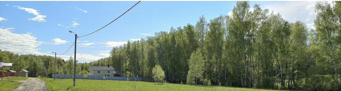 земля городской округ Серпухов д Райсеменовское г. о. Серпухов, Пролетарский фото 4