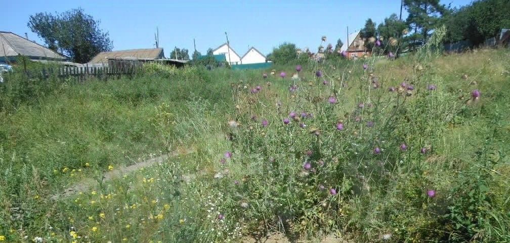 земля р-н Ордынский с Красный Яр ул Сибирская Красноярский сельсовет фото 3