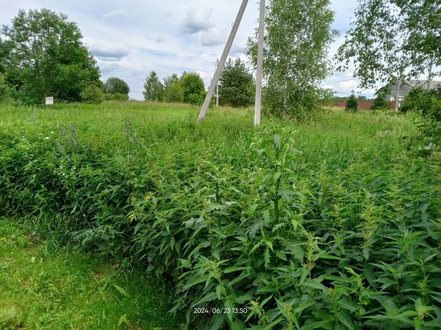 городской округ Ступино д Хомутово фото 5