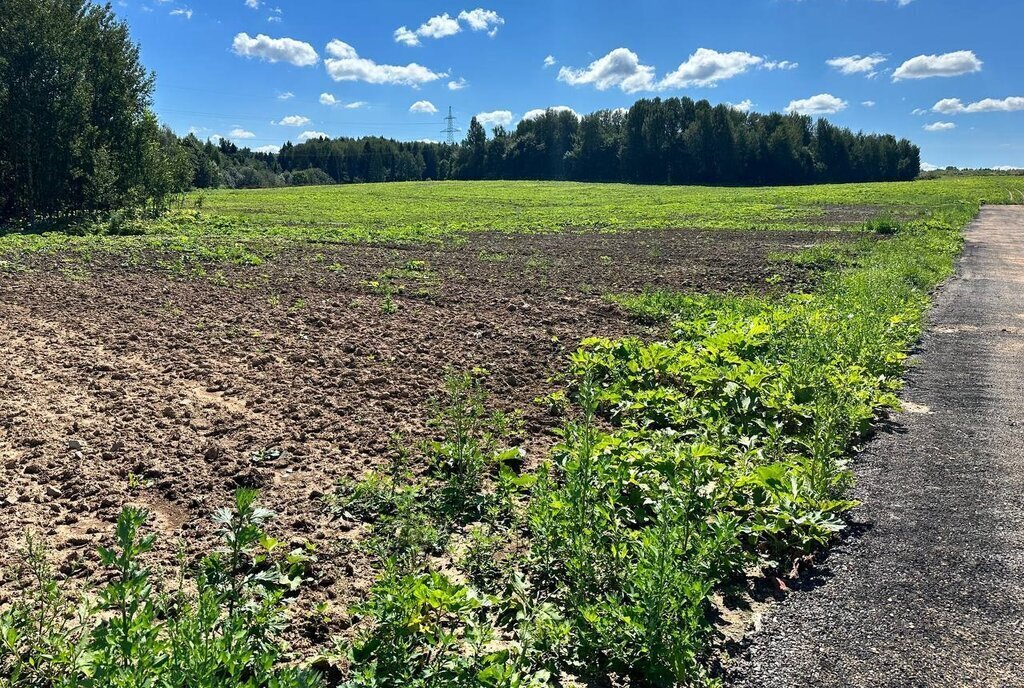 земля городской округ Дмитровский коттеджный поселок «Сорочаны» городской округ Клин фото 1