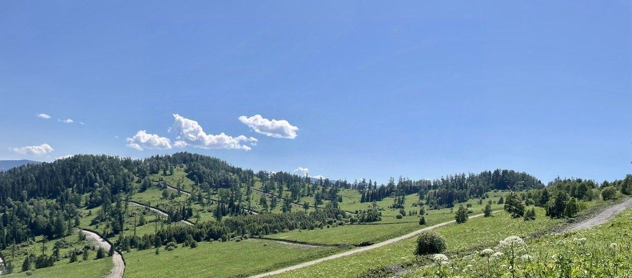 земля р-н Чемальский с/п Элекмонарское Седьмое Небо кп фото 3