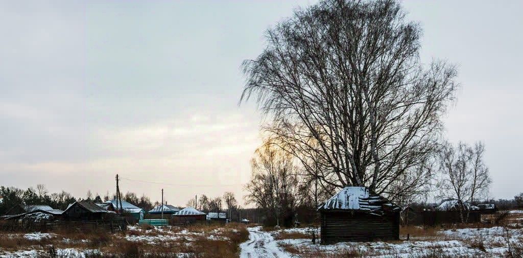 земля р-н Талицкий с Пеньки ул Ленина 13 фото 8