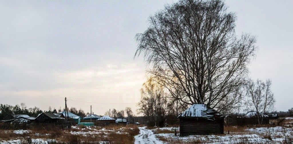 земля р-н Талицкий с Пеньки ул Ленина 13 фото 10