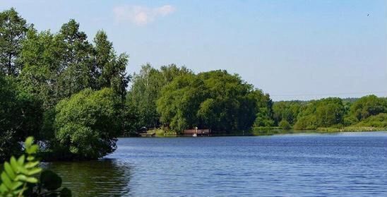 земля городской округ Пушкинский п Ашукино садовое товарищество Ласточка фото 3