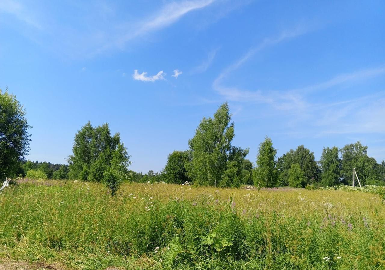 земля городской округ Пушкинский п Ашукино садовое товарищество Ласточка фото 4