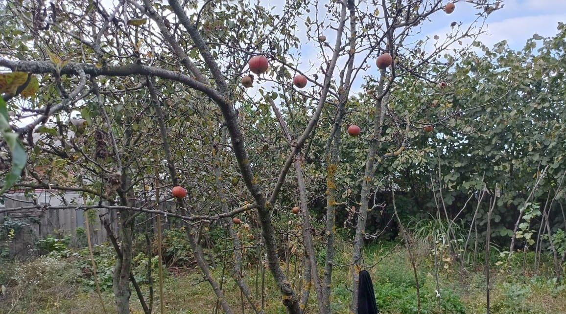 дом р-н Пригородный с Михайловское снт СНТ Горное ул Новая 452 фото 6