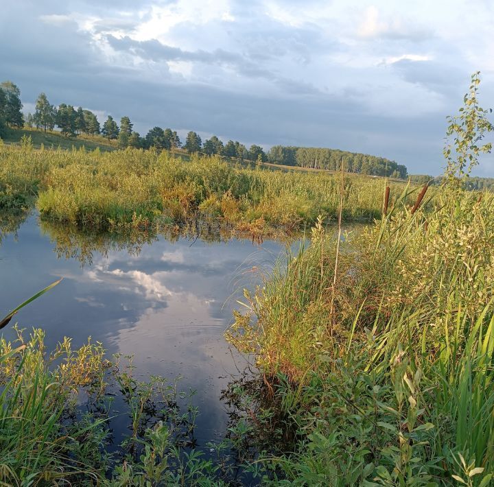 земля р-н Александровский г Александров городское поселение Александров фото 5