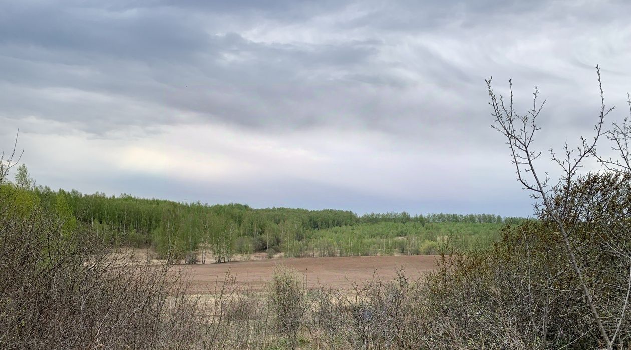 земля р-н Городецкий снт Мечта Кстовский муниципальный округ фото 3