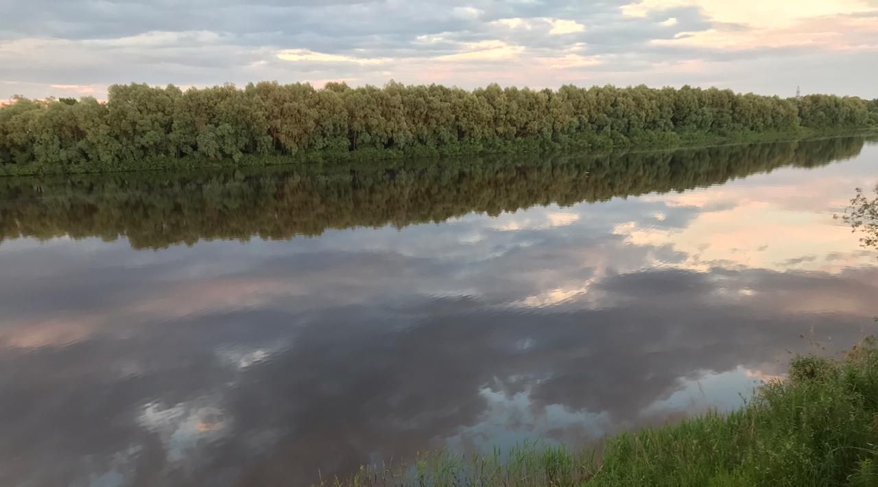 земля р-н Новгородский д Божонка Савинское с/пос фото 1