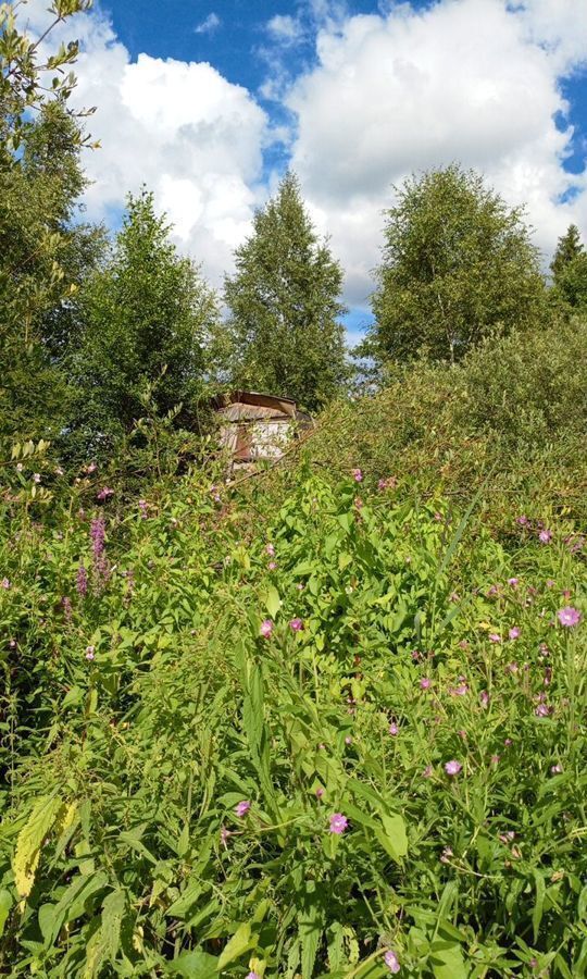 земля городской округ Рузский п Дорохово 70 км, садоводческое некоммерческкое товарищество Руза-3, Минское шоссе фото 2