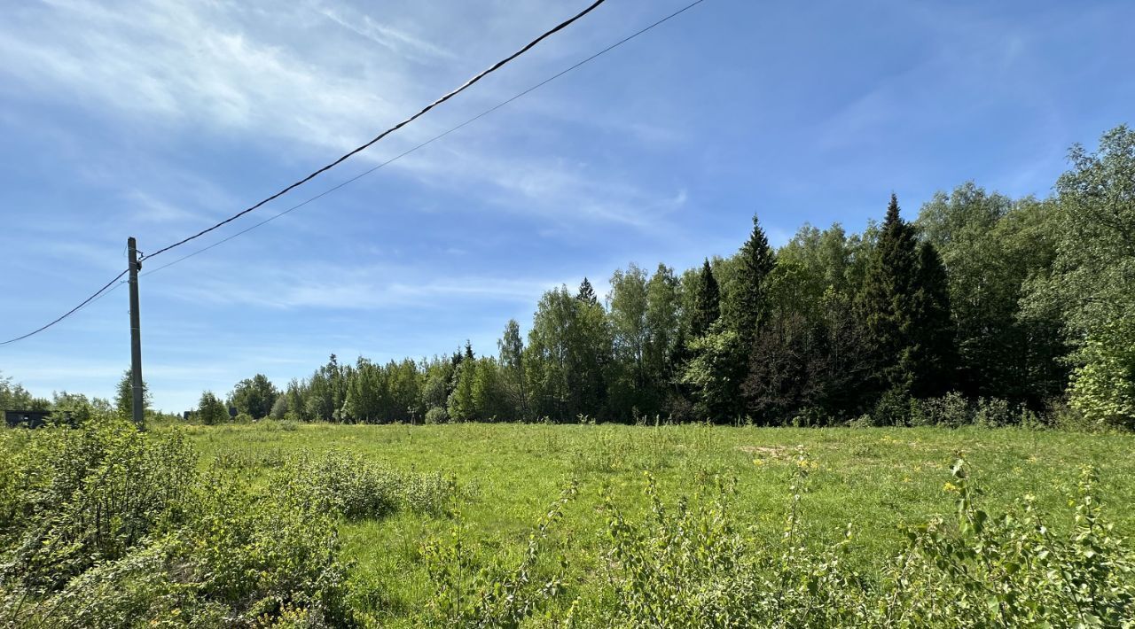 земля городской округ Дмитровский п Подосинки фото 2