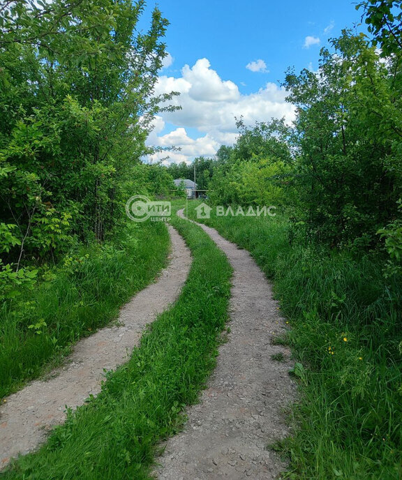 земля р-н Семилукский с Ендовище ул Красный Кут фото 6