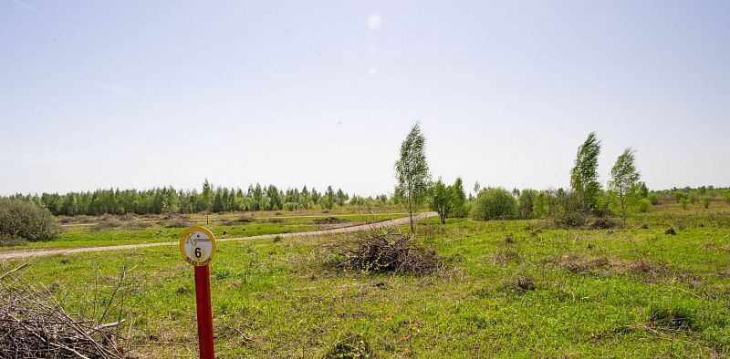 земля р-н Заокский д Кортнево Демидовское муниципальное образование фото 5