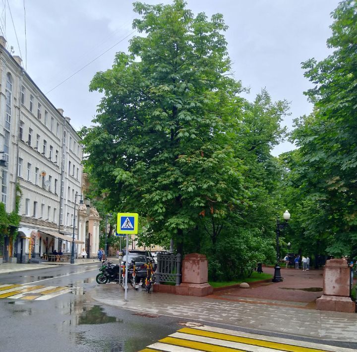 квартира г Москва метро Маяковская пер Ермолаевский 7 муниципальный округ Пресненский фото 9