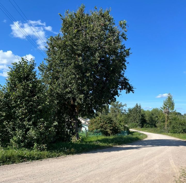 дом р-н Порховский д Полоное ул Заречная 4 фото 7