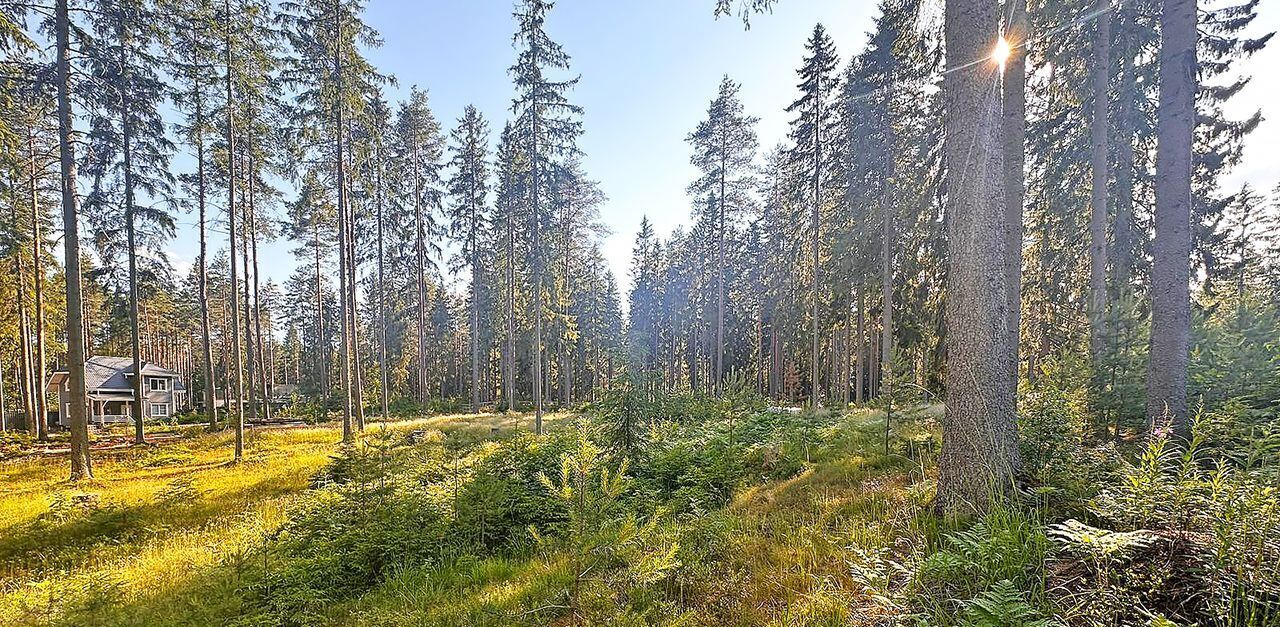 земля р-н Выборгский п Ленинское пр-д Ягодный пос, Первомайское с фото 1