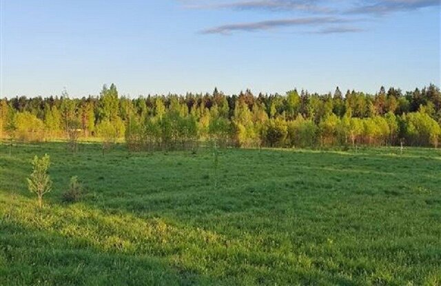 Рахьинское городское поселение фото